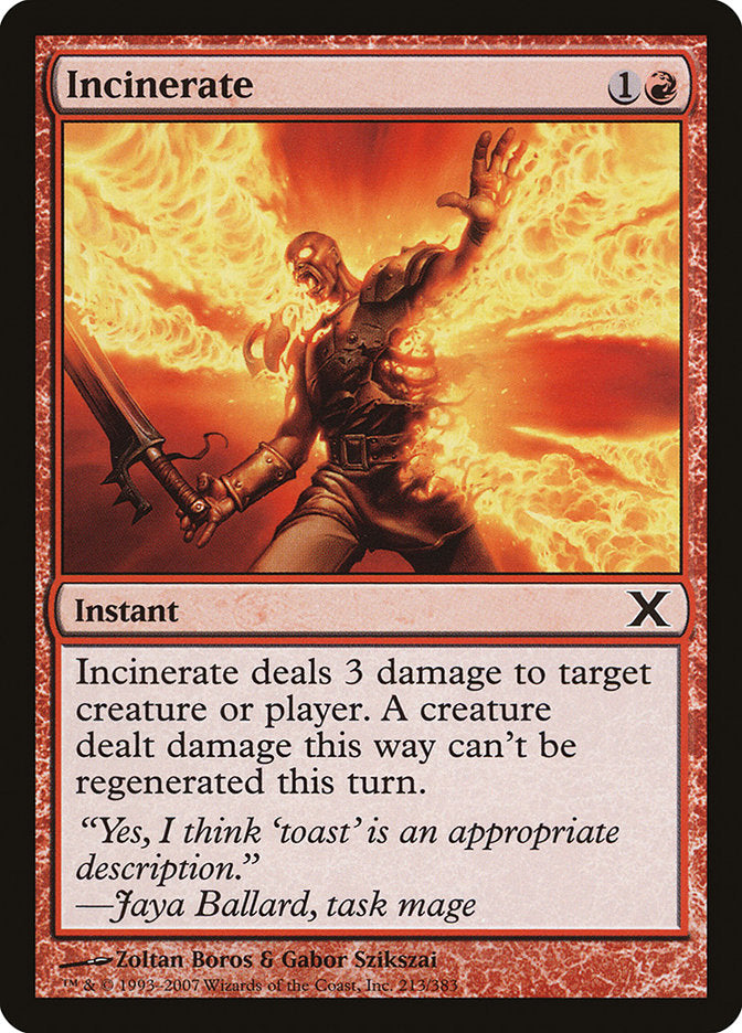 Incinerate [Tenth Edition] | Good Games Modbury
