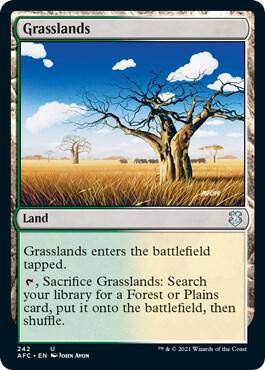 Grasslands 242 (Commander: Adventures in the Forgotten Realms)  | Good Games Modbury