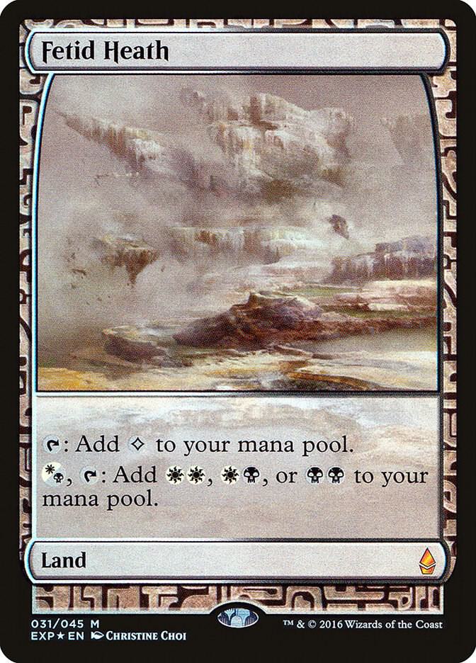 Fetid Heath 31/45 (Zendikar Expeditions)  - Foil | Good Games Modbury