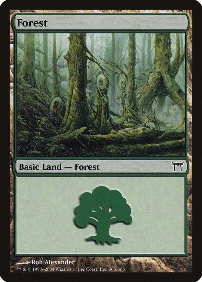 Forest 303/306 (Champions of Kamigawa)  - Foil | Good Games Modbury