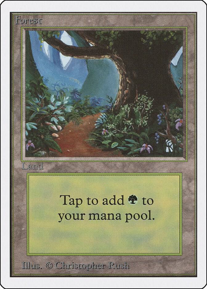 Forest B 301/302 (Unlimited Edition)  | Good Games Modbury