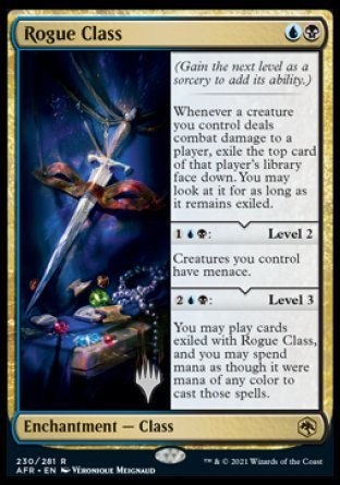 Rogue Class (Promo Pack) [Dungeons & Dragons: Adventures in the Forgotten Realms Promos] | Good Games Modbury