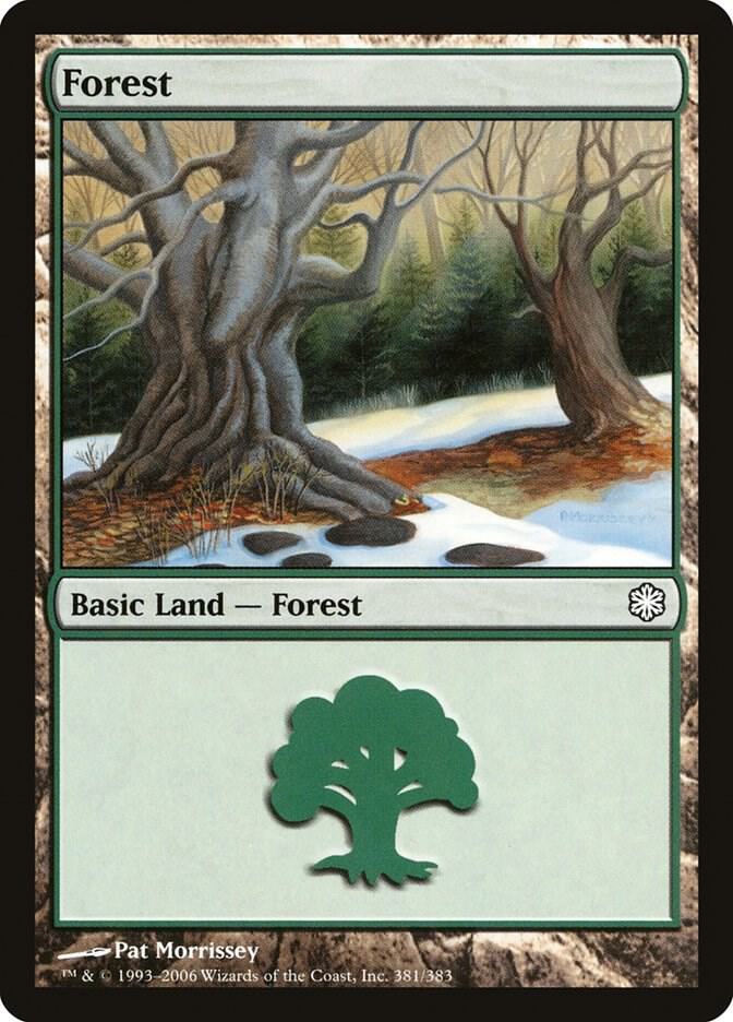 Forest 381/62 (Coldsnap Theme Deck Reprints)  | Good Games Modbury