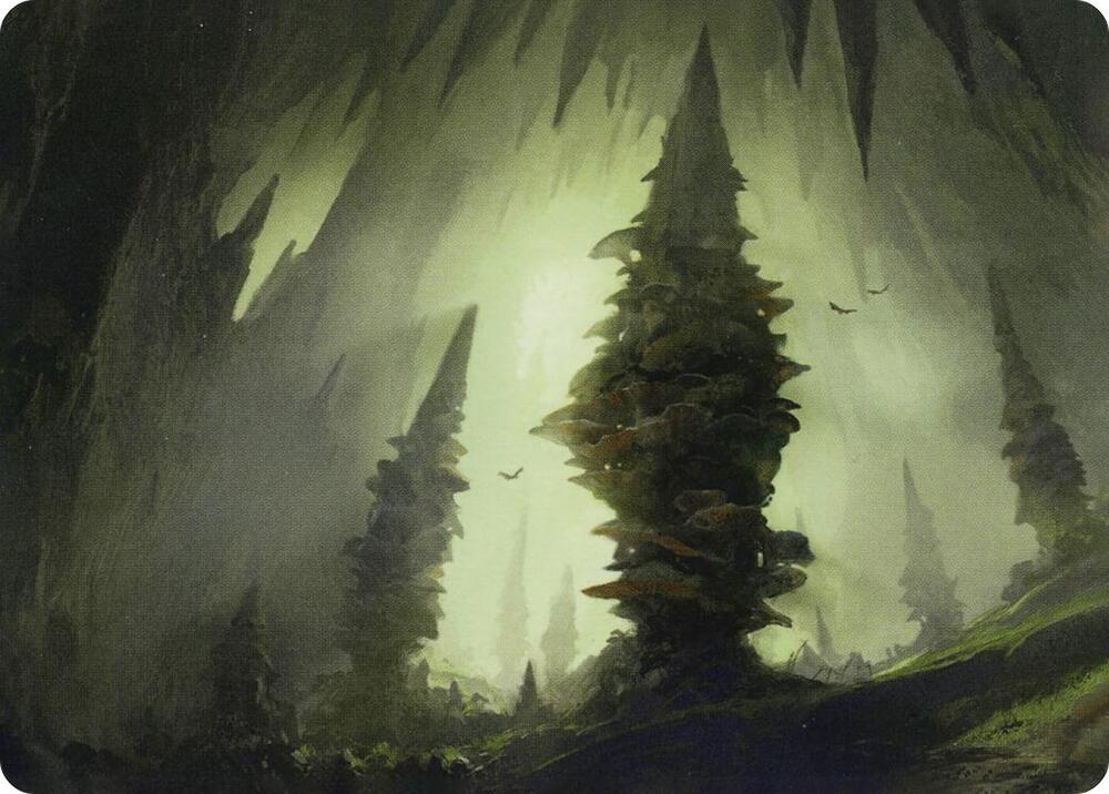 Forest 55 81 Art Card 55 (Art Series: Adventures in the Forgotten Realms)  | Good Games Modbury