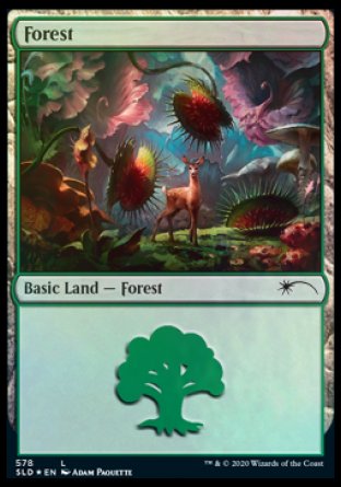 Forest (Predatory) (578) [Secret Lair Drop Promos] | Good Games Modbury