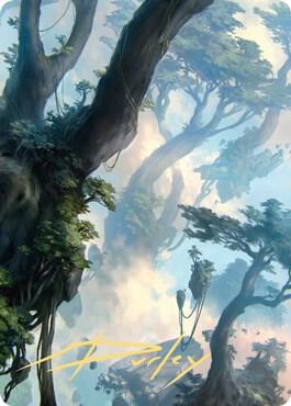 Forest Art Card 19 81 Gold Stamped Signature 19 (Art Series: Zendikar Rising)  | Good Games Modbury