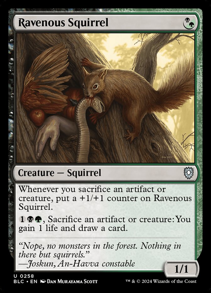 Ravenous Squirrel 258 (Commander: Bloomburrow)  | Good Games Modbury