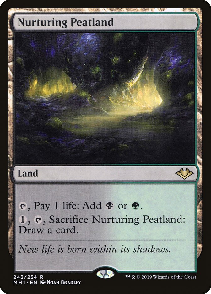 Nurturing Peatland 243/254 (Modern Horizons)  | Good Games Modbury
