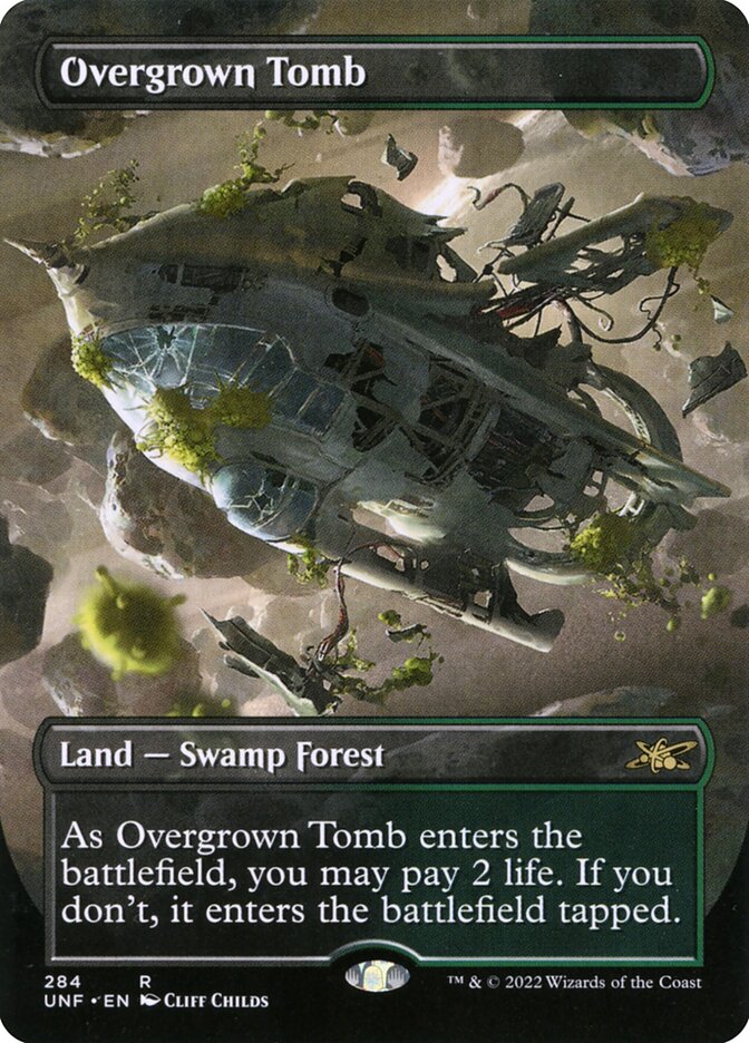 Overgrown Tomb Borderless 284 (Unfinity)  | Good Games Modbury