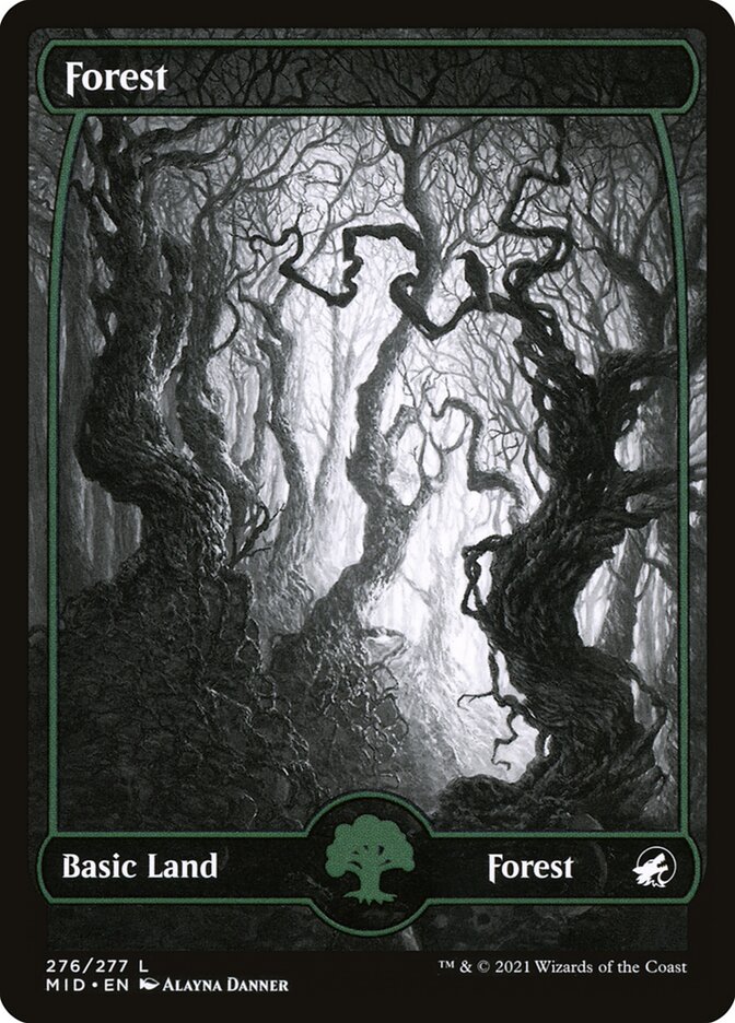 Forest 276 276 (Innistrad: Midnight Hunt)  - Foil | Good Games Modbury