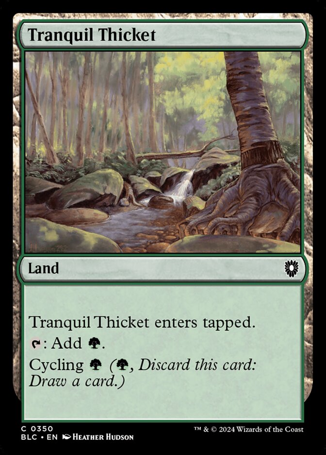 Tranquil Thicket 350/40 (Commander: Bloomburrow)  | Good Games Modbury