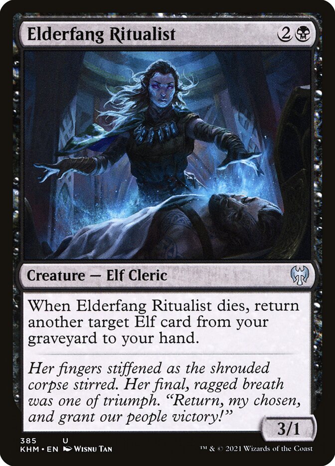 Elderfang Ritualist 385/285 (Kaldheim)  | Good Games Modbury