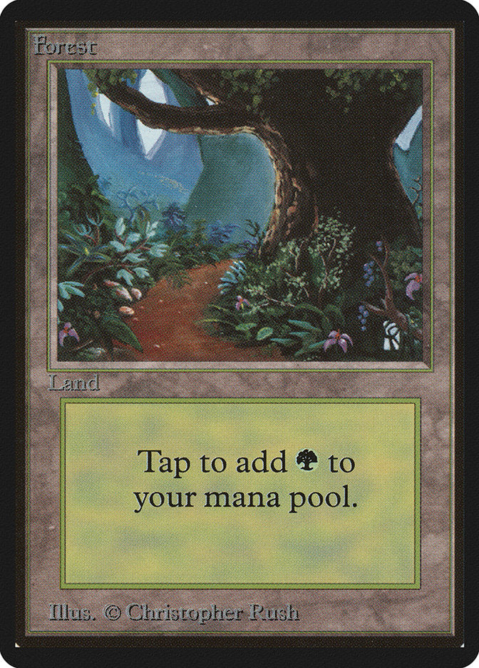 Forest 301/302 (Beta Edition)  | Good Games Modbury