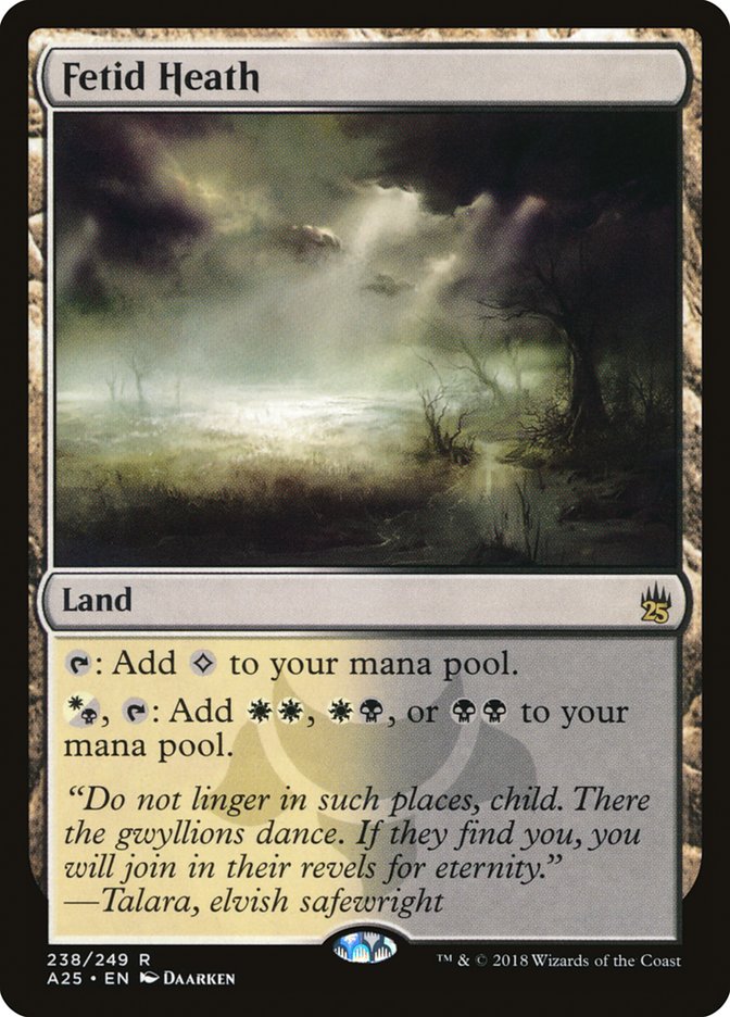 Fetid Heath 238/249 (Masters 25)  - Foil | Good Games Modbury