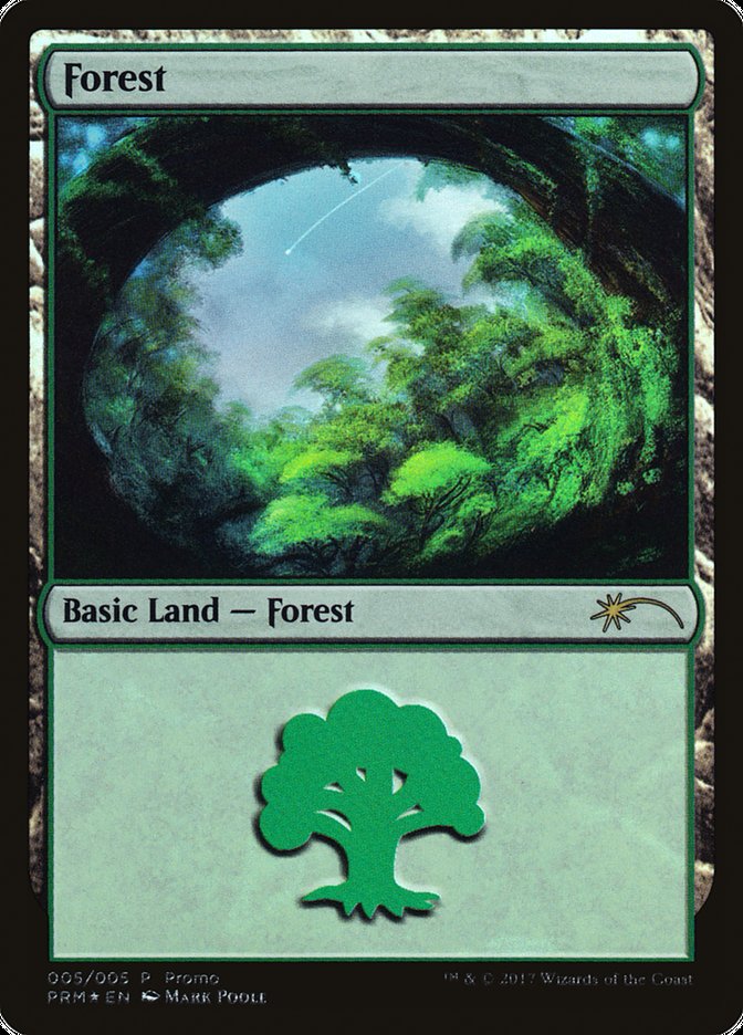 Forest 5/5 (Gift Boxes and Promos)  - Foil | Good Games Modbury