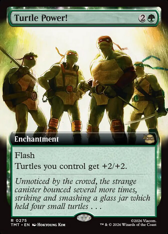 Turtle Power! 275/190 (Teenage Mutant Ninja Turtles)  - Extended Art Foil | Good Games Modbury
