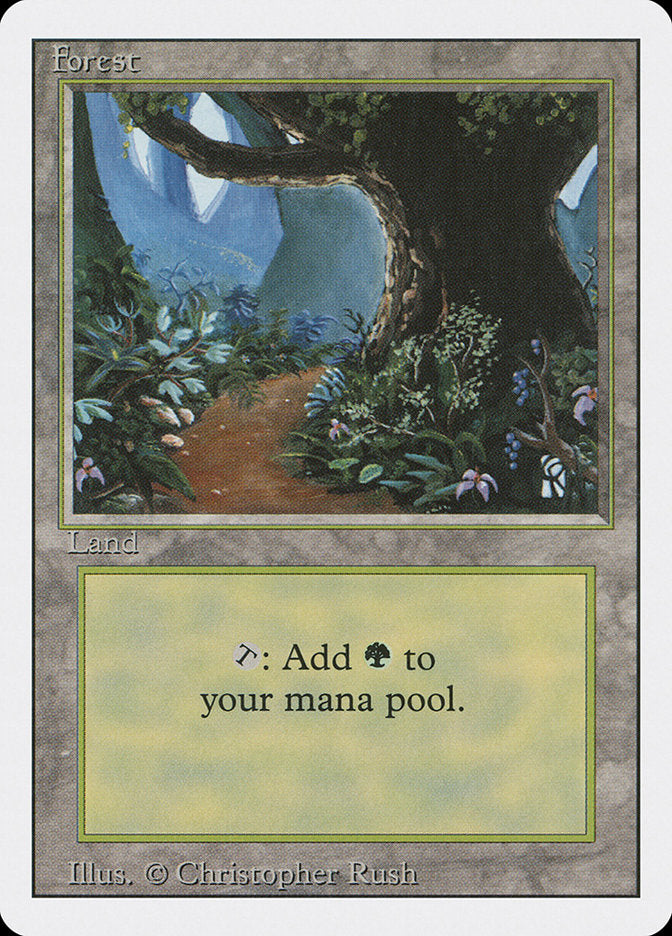 Forest B 286 (Revised Edition)  | Good Games Modbury