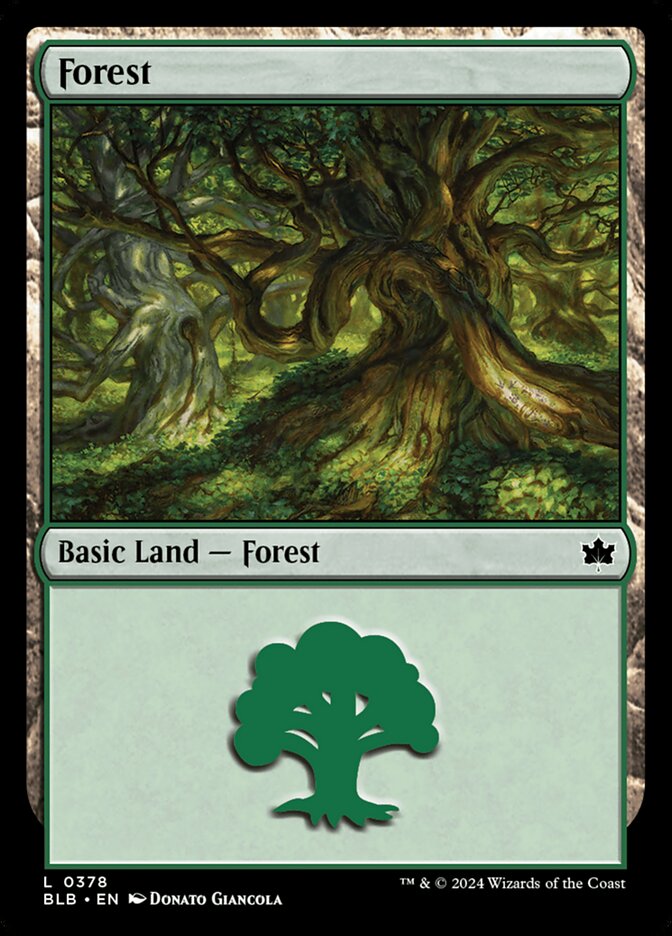 Forest 378 (Bloomburrow)  - Foil | Good Games Modbury