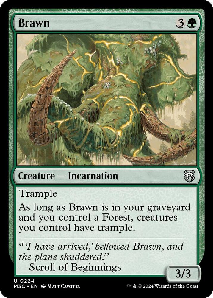 Brawn 224/411 (Commander: Modern Horizons 3)  | Good Games Modbury