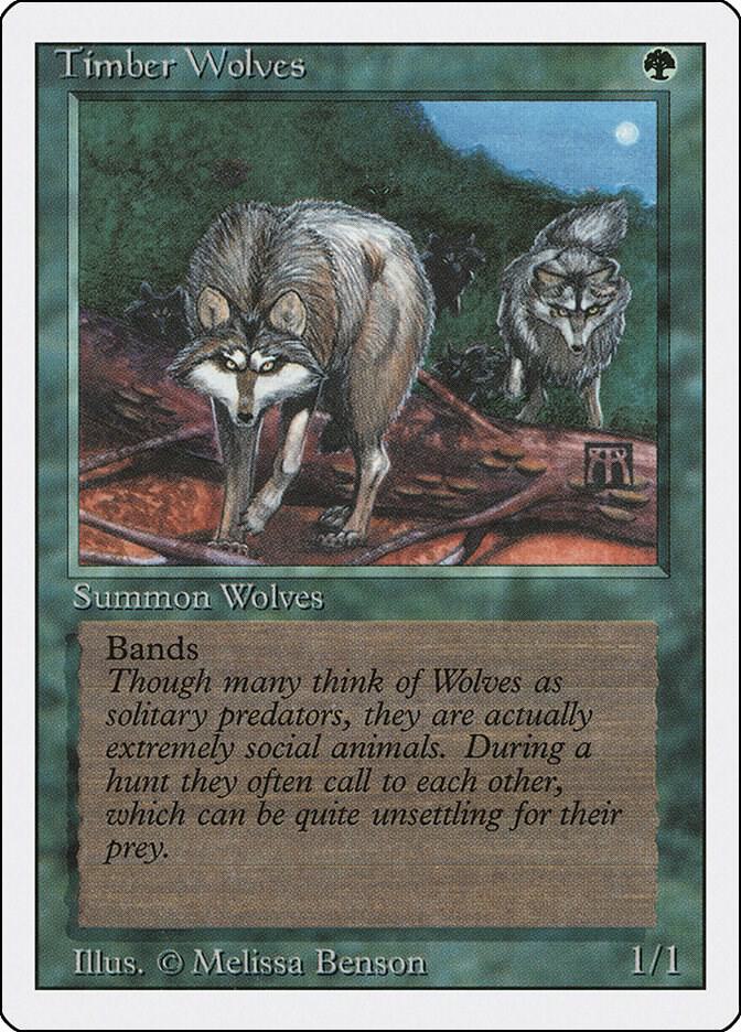 Timber Wolves 219/306 (Revised Edition)  | Good Games Modbury