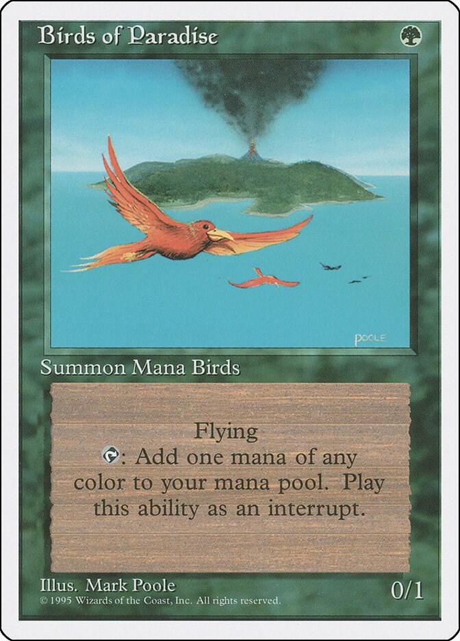 Birds of Paradise 234/378 (Fourth Edition)  | Good Games Modbury