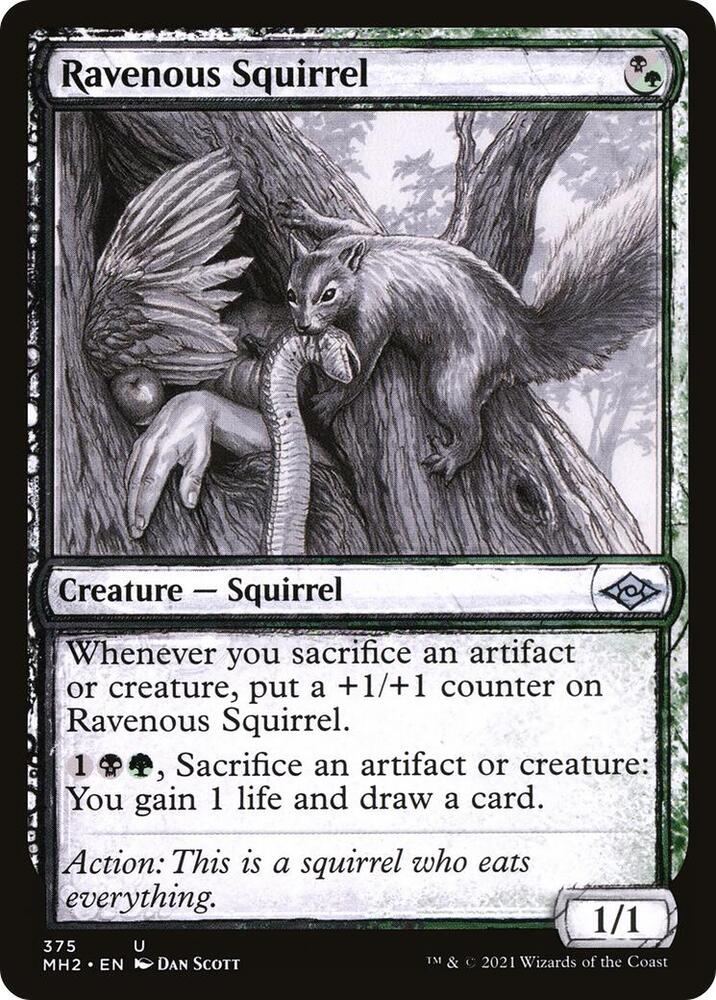Ravenous Squirrel Showcase 375/303 (Modern Horizons 2)  | Good Games Modbury
