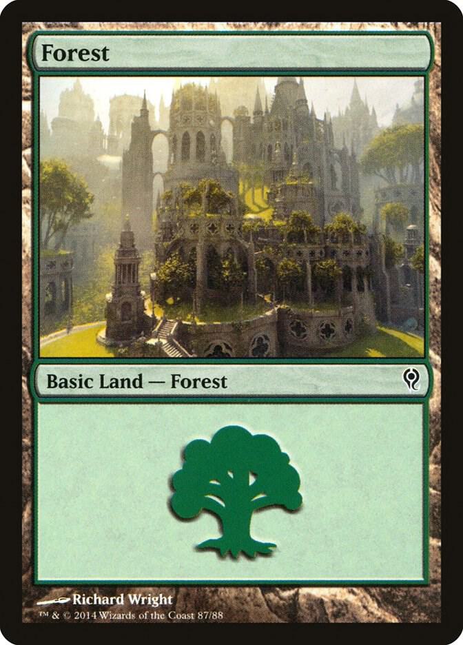 Forest 87/88 (Duel Decks: Jace vs. Vraska)  | Good Games Modbury