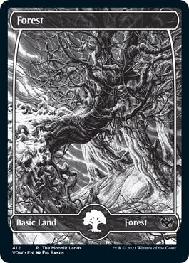 Forest Moonlit Land 412 (WPN & Gateway Promos)  - Etched Foil | Good Games Modbury