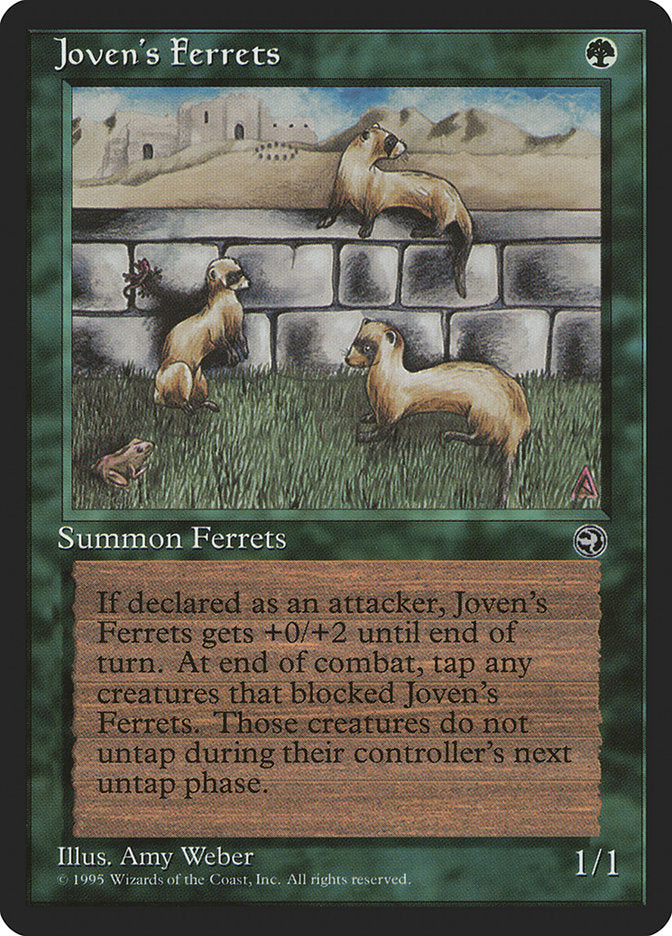 Joven's Ferrets [Homelands] | Good Games Modbury