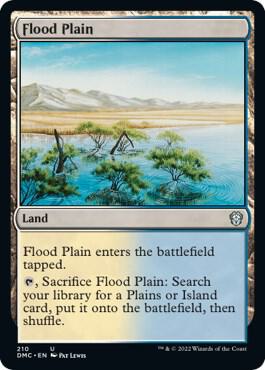 Flood Plain 210/50 (Commander: Dominaria United)  | Good Games Modbury