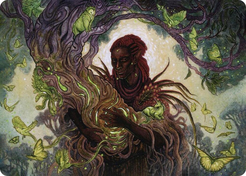 Circle of Dreams Druid Art Card 66 (Art Series: Adventures in the Forgotten Realms)  | Good Games Modbury
