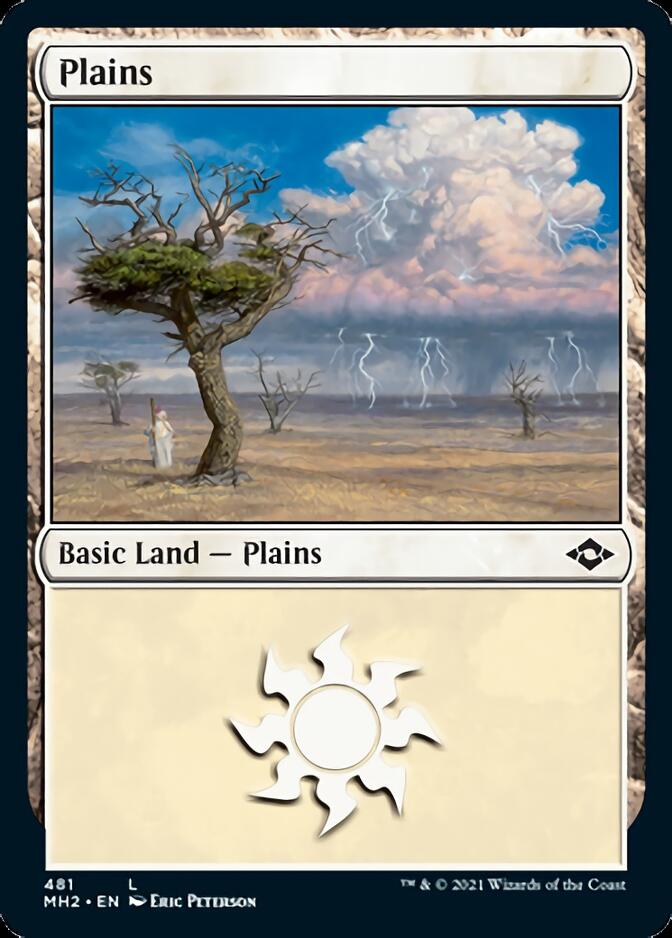 Plains (481) (Foil Etched) [Modern Horizons 2] | Good Games Modbury