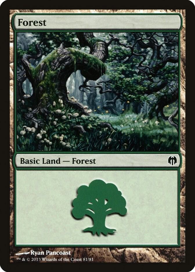 Forest 81/81 (Duel Decks: Heroes vs. Monsters)  | Good Games Modbury