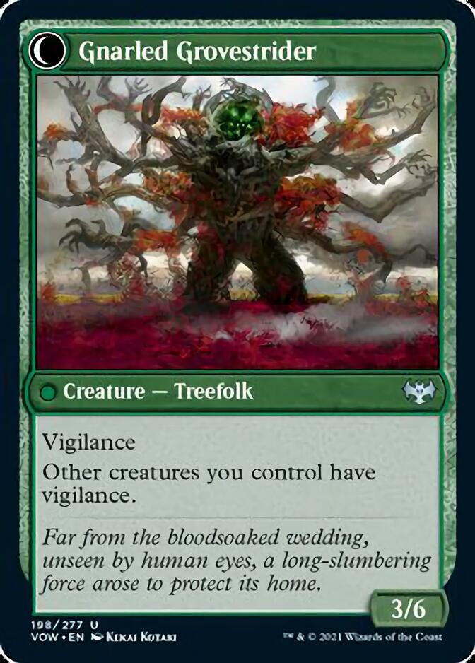 Dormant Grove // Gnarled Grovestrider [Innistrad: Crimson Vow] | Good Games Modbury