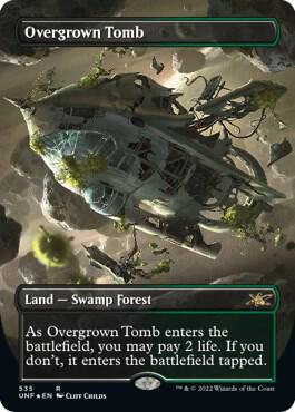 Overgrown Tomb Borderless Galaxy Foil 535/244 (Unfinity)  - Foil | Good Games Modbury