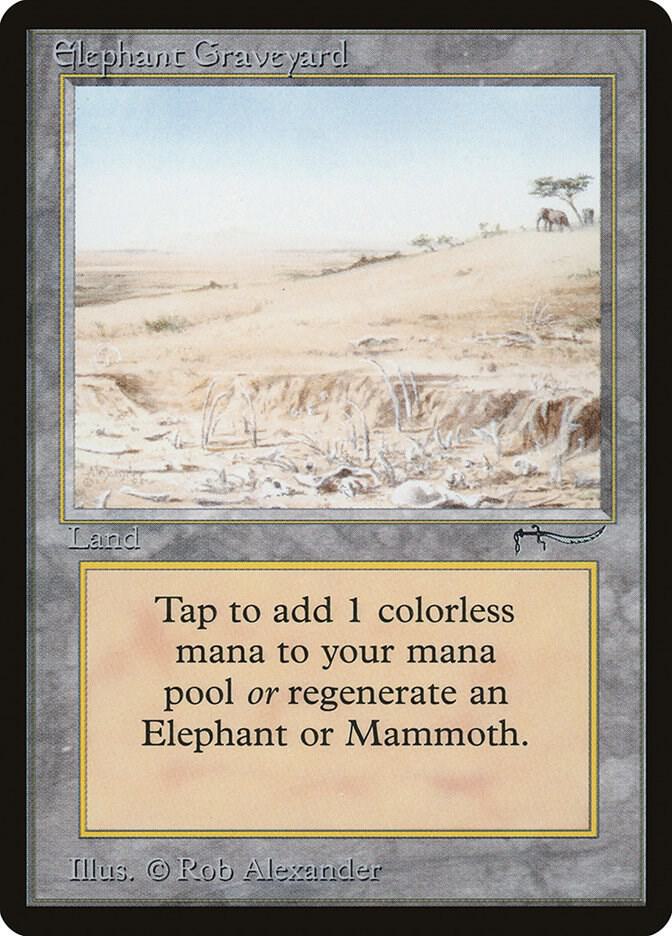 Elephant Graveyard 74/78 (Arabian Nights)  | Good Games Modbury
