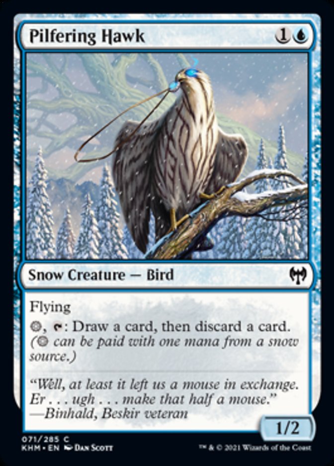 Pilfering Hawk [Kaldheim] | Good Games Modbury