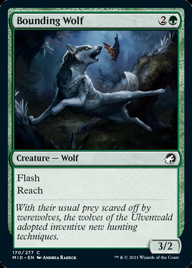 Bounding Wolf [Innistrad: Midnight Hunt] | Good Games Modbury