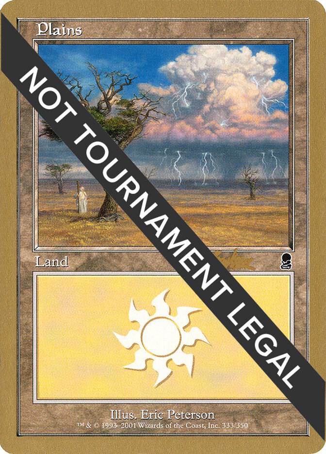Plains 333 2002 Brian Kibler ODY bk333/153 (World Championship Decks)  | Good Games Modbury