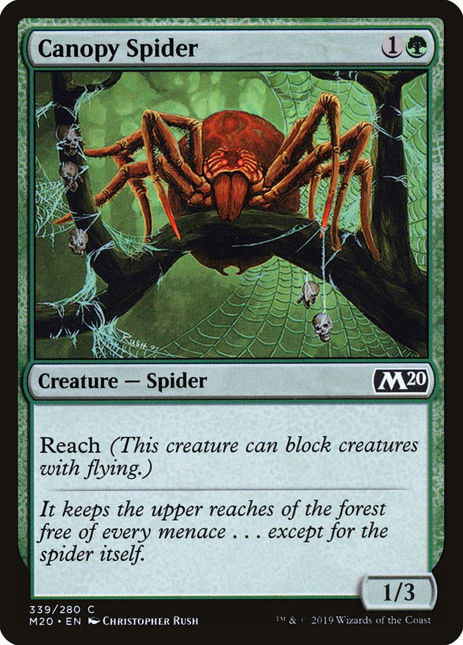 Canopy Spider [Core Set 2020] | Good Games Modbury