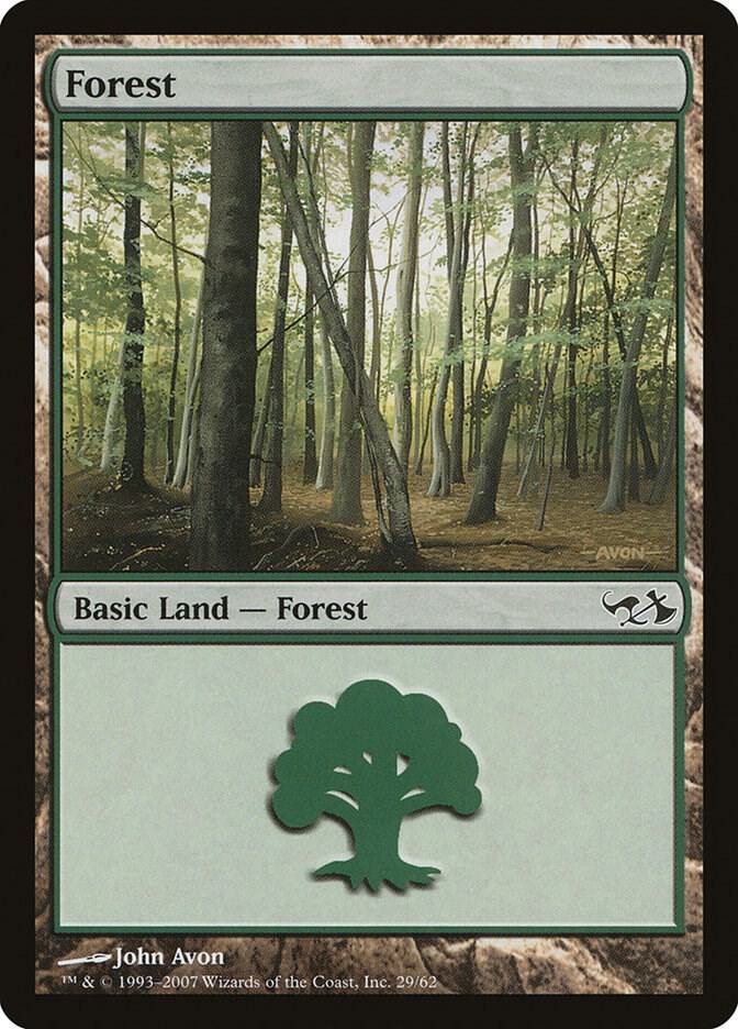 Forest 29/62 (Duel Decks: Elves vs. Goblins)  | Good Games Modbury