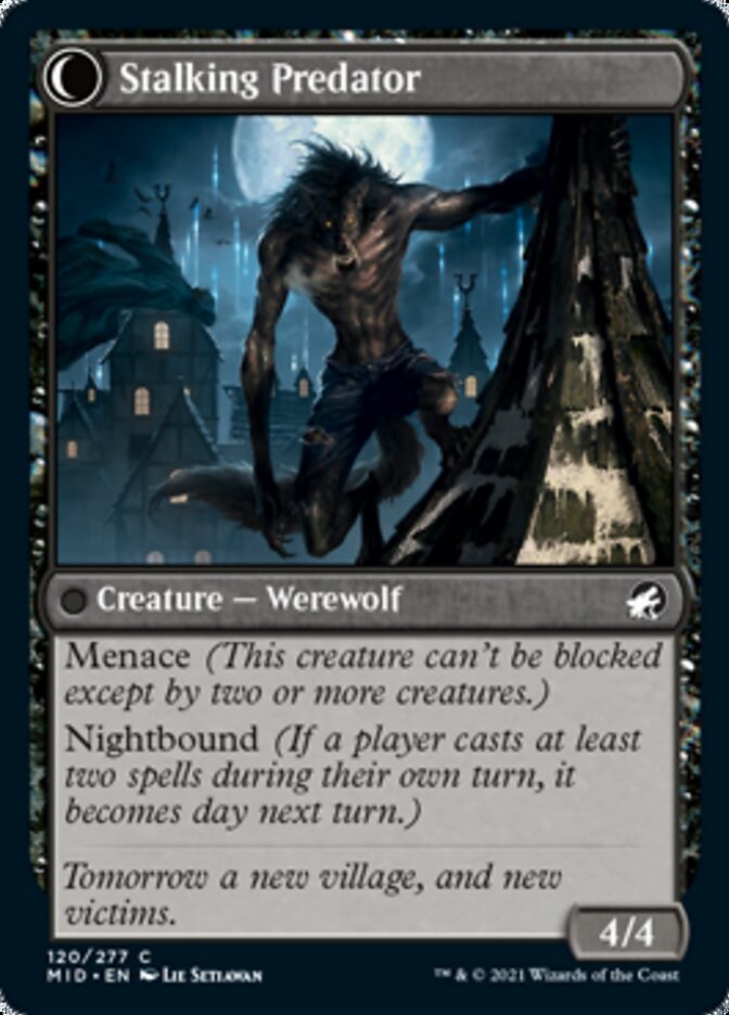 Shady Traveler // Stalking Predator [Innistrad: Midnight Hunt] | Good Games Modbury
