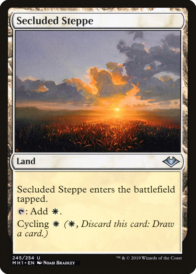 Secluded Steppe [Modern Horizons] | Good Games Modbury