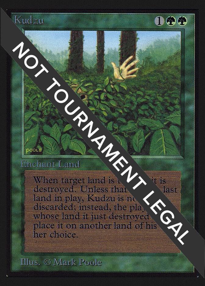 Kudzu IE 205/302 (International Edition)  | Good Games Modbury