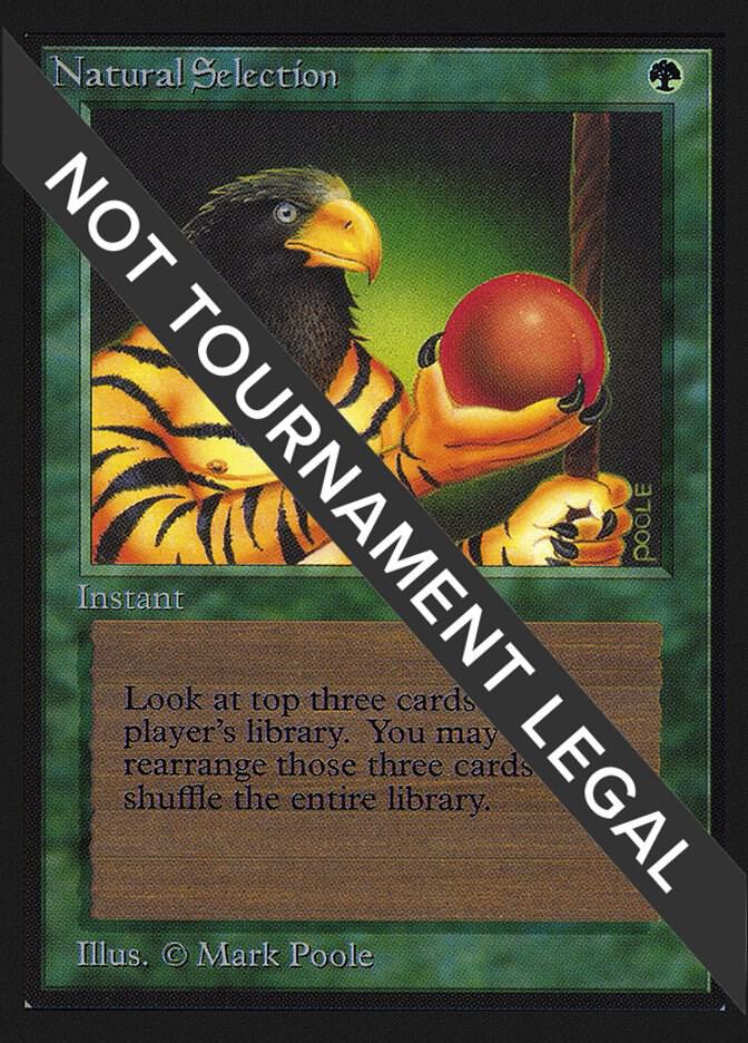 Natural Selection IE 213/302 (International Edition)  | Good Games Modbury