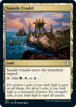 Seaside Citadel 258/62 (Commander: Adventures in the Forgotten Realms)  | Good Games Modbury