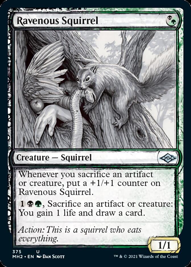 Ravenous Squirrel (Sketch) [Modern Horizons 2] | Good Games Modbury