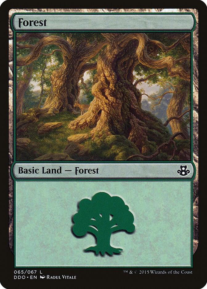 Forest 065 65/67 (Duel Decks: Elspeth vs. Kiora)  | Good Games Modbury