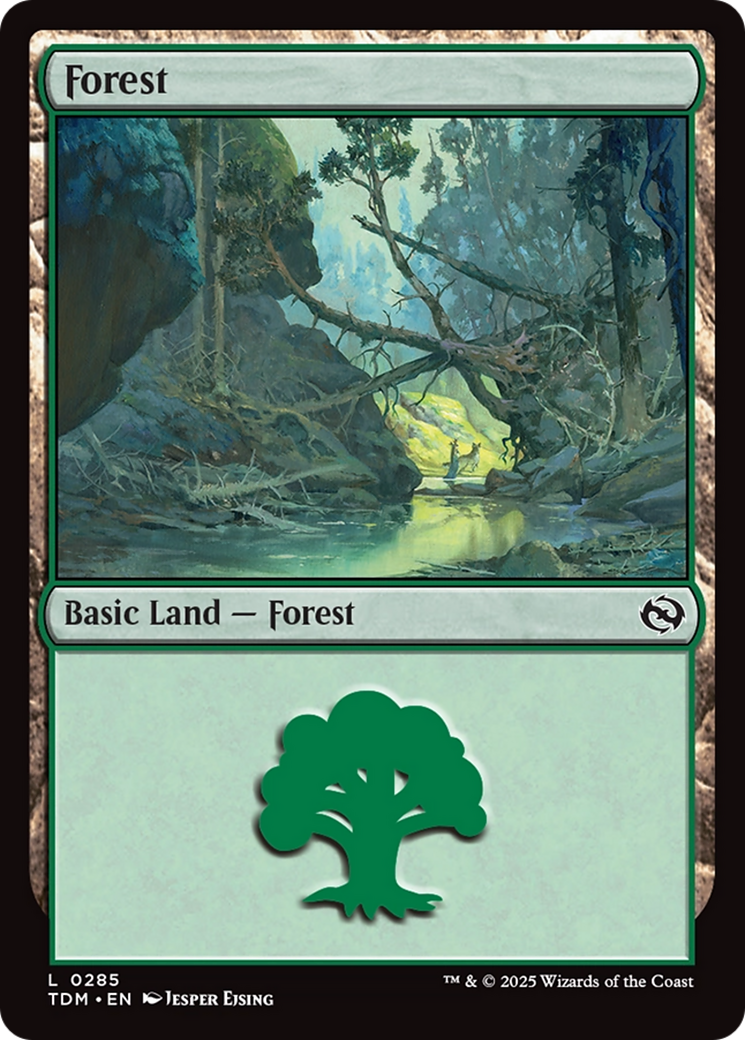 Forest (0285) [Tarkir: Dragonstorm] | Good Games Modbury