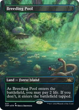 Breeding Pool Borderless Galaxy Foil 537/244 (Unfinity)  - Foil | Good Games Modbury